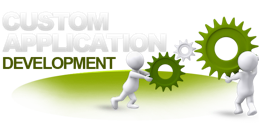 Custom Application Development